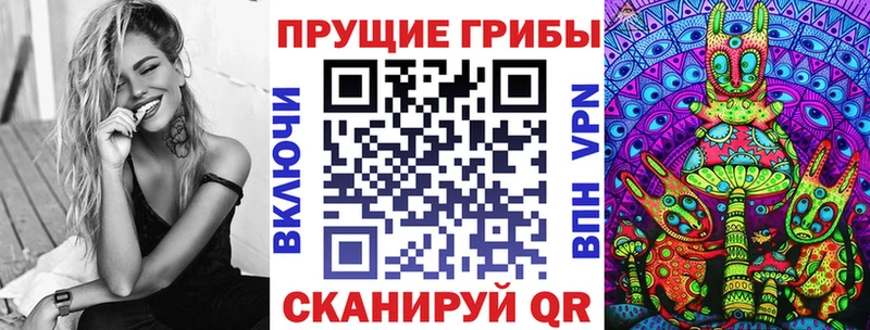 Псилоцибиновые грибы Psilocybe  Купить  Большой Камень 